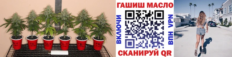 blacksprut tor Удомля Дистиллят ТГК THC oil купить