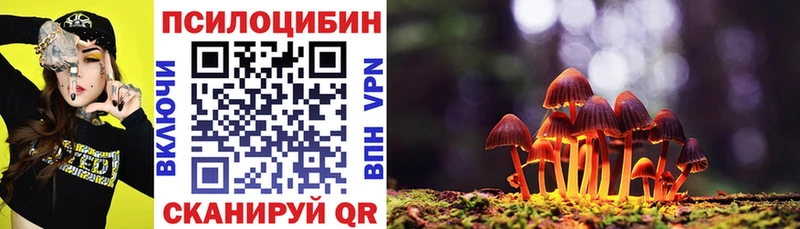 блэк спрут онион  цена наркотик  Удомля  Галлюциногенные грибы GOLDEN TEACHER 